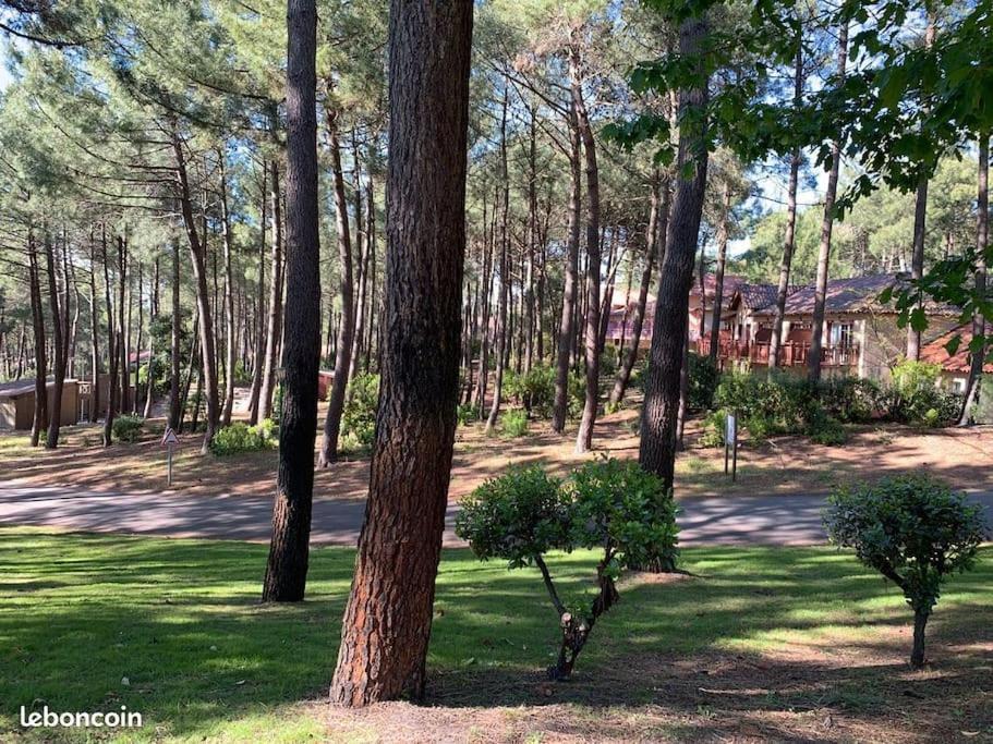 Apt T2 Calme Sur Golf, Piscine, Ocean 10 Min En Velo Lacanau Exterior foto